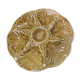 Oyster plate