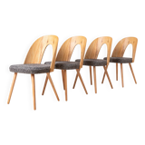 Ensemble de 4 chaises de salle à manger modernes du milieu du siècle par A. Šuman, rembourrées