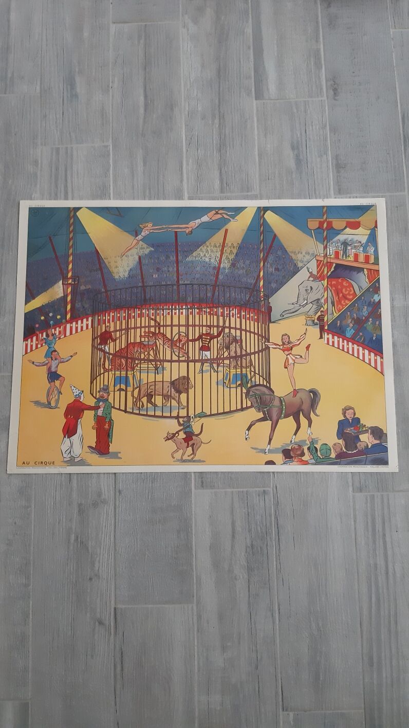 Affiche scolaire pédagogique Rossignol
