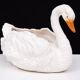 Antique Capodimonte Ceramic Swan jardiniere 1880