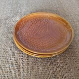 3 fish plates