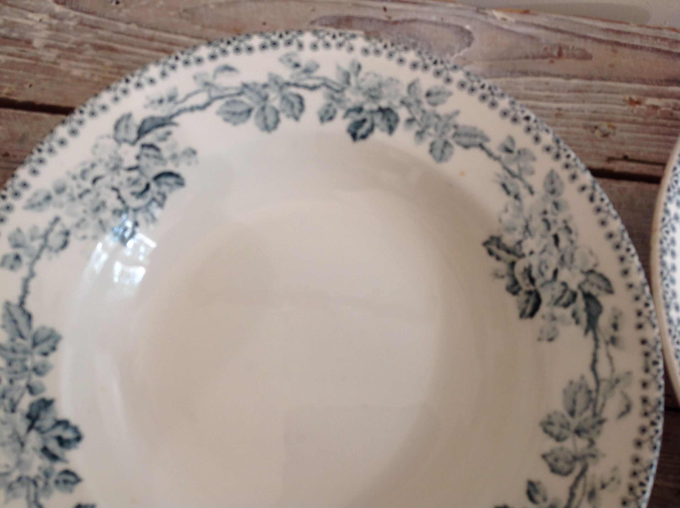 Set of 12 deep terre de fer plates