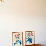 Lithograph pj redouté hundred-leaf rose bush 20th century