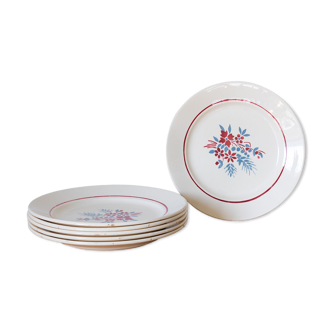 6 assiettes plates anciennes Badonviller