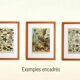 Antique engraving 1897 A. Millot - Fish 1, marine animals
