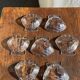 7 vintage shell-shaped bowls in Pyrex glass from France
