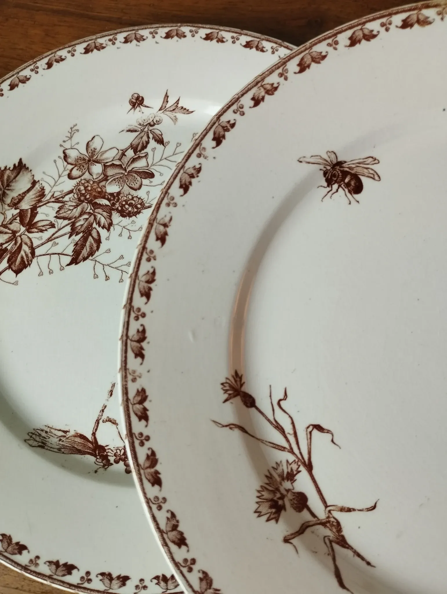 7 flat plates in earthenware from Sarreguemines U&C "Carmen"