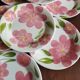 9 vintage San Marciano dinner plates