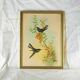 Lithographie au Colibri de Bouguer butineur (Urochroa bougieri) - J. Gould et H.C. Richter - Mi-XIXè
