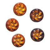 5 earthenware oyster plates from Saint Clement, 1960s