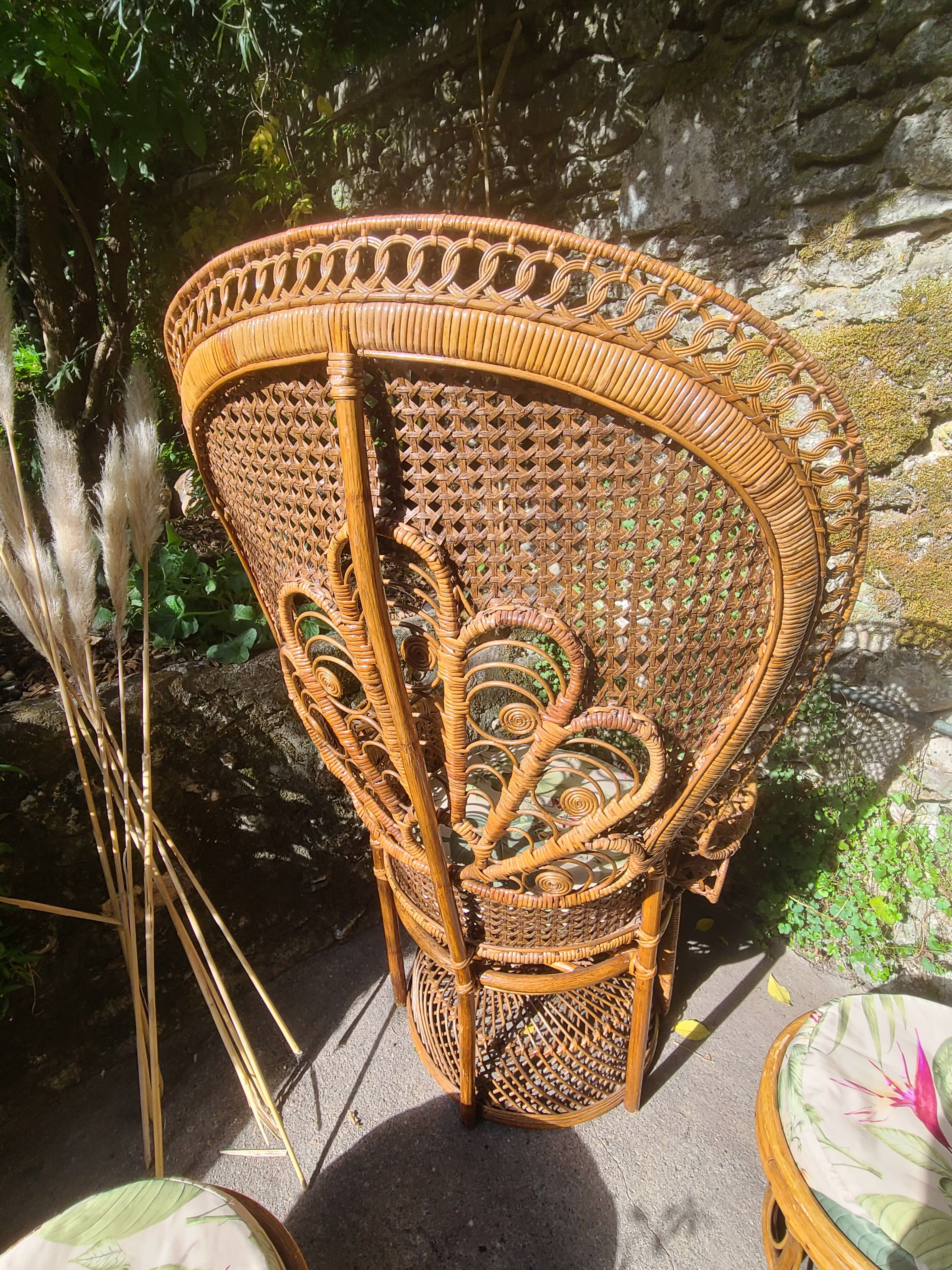 Fauteuil emmanuelle vintage et 2 poufs