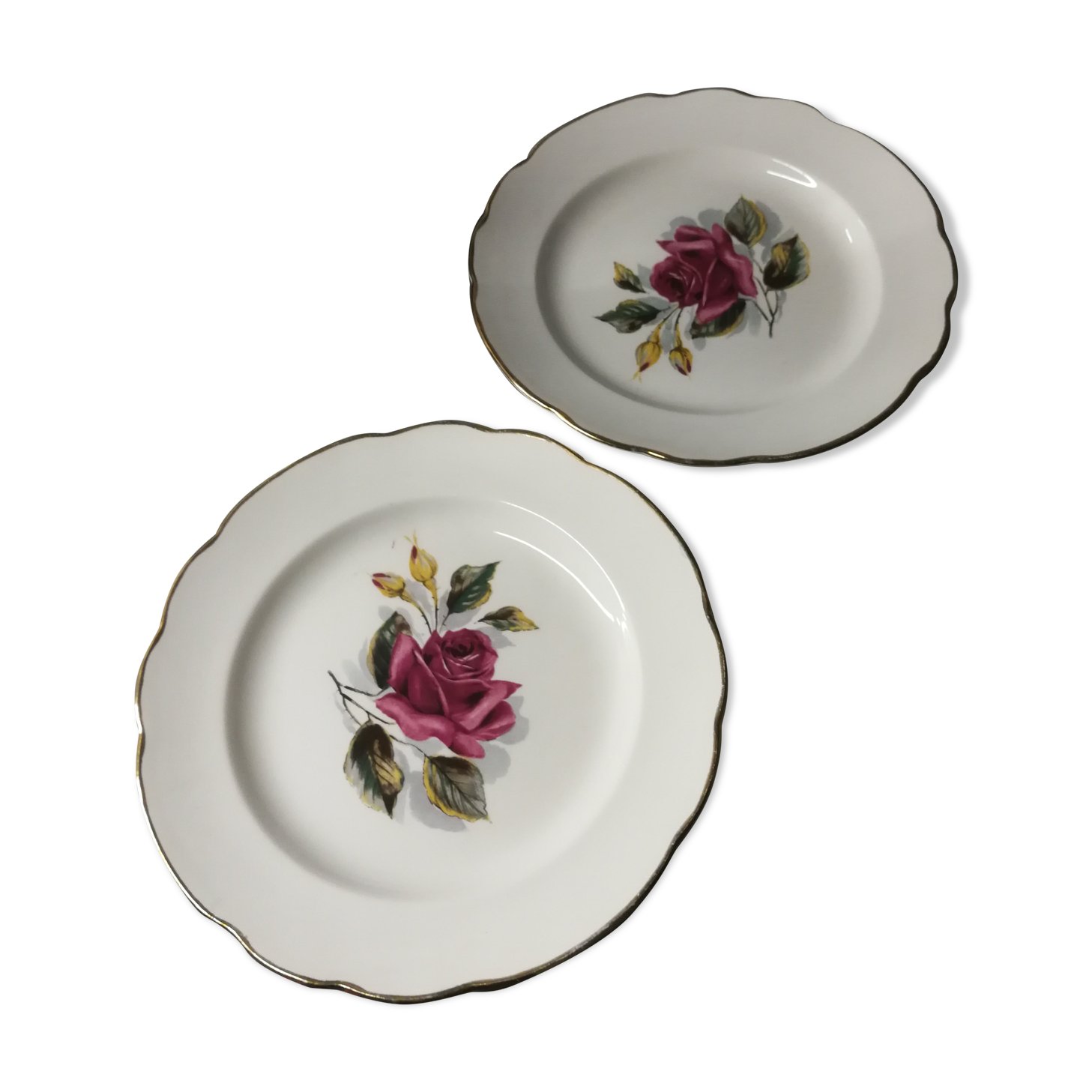 Duo of plates "gien chambord"