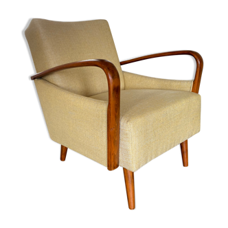 Vintage Mid-Century Modern Easy Chair, 1950s