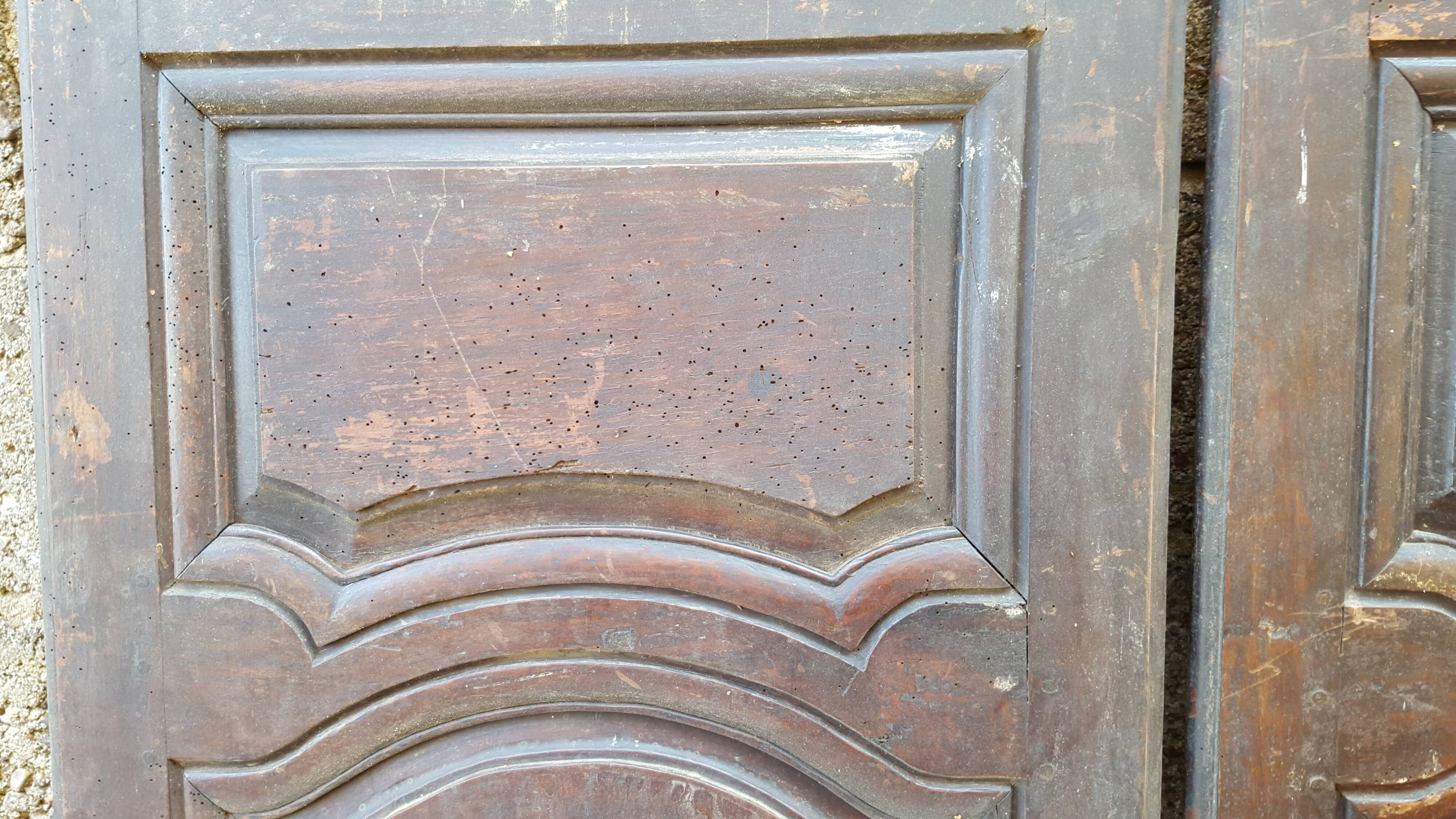 Pair of 18th/19th century old doors