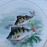 Service à poisson en Gien