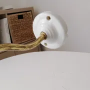 Antique wall light with a swan neck in enamelled metal, porcelain, and brass.