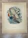 Ornithological plate J.G. Keulemans "Picus Leuconotus"