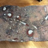 Erfoud stone coffee table with fossils
