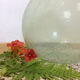 Big demiojhn vintage 30 L
