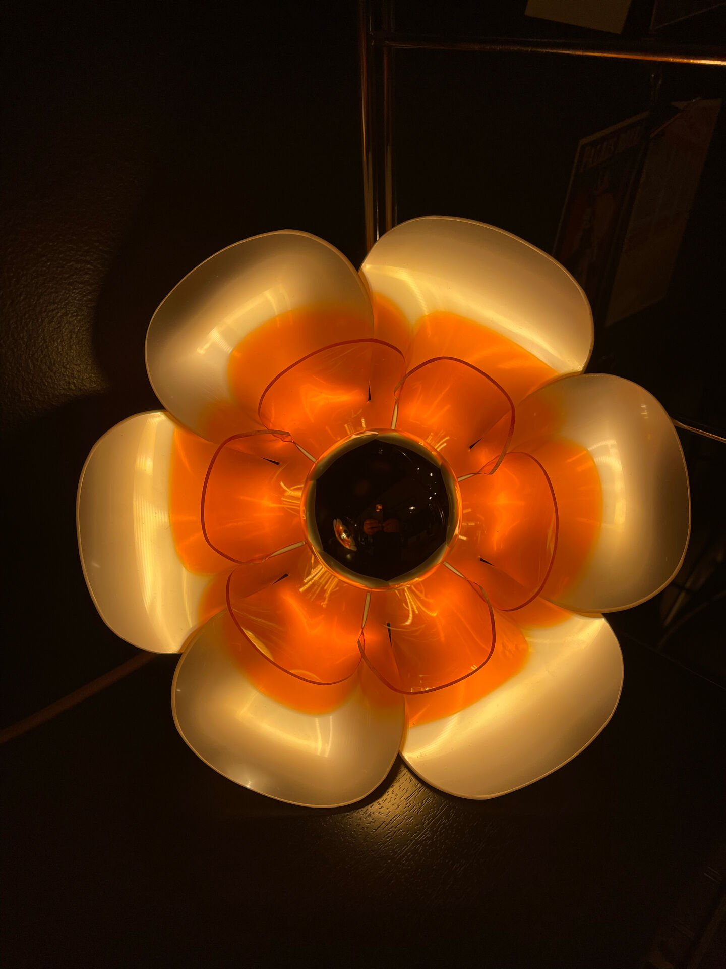 Pair of Flowers wall lights 1970