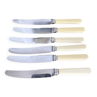 6 couteaux Philip ashberry & sons made in Sheffield england 21 cm