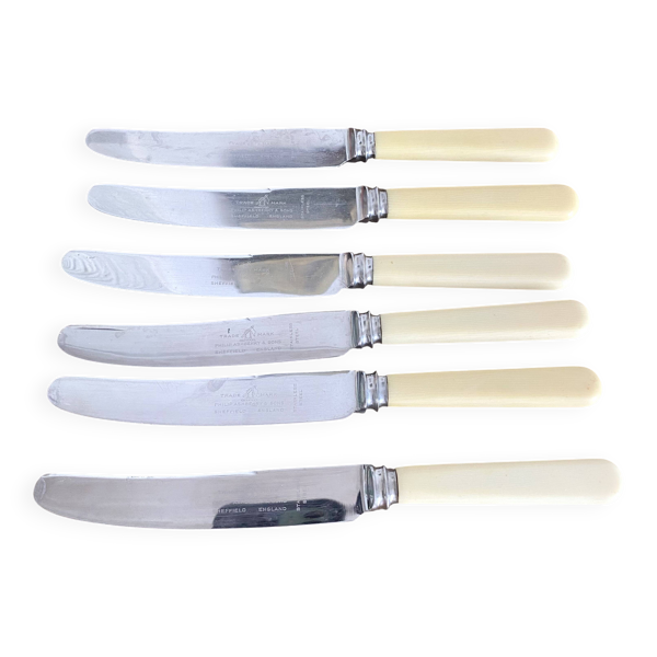 6 couteaux Philip ashberry & sons made in Sheffield england 21 cm
