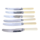 6 Philip Ashberry & Sons knives made in Sheffield England 21 cm