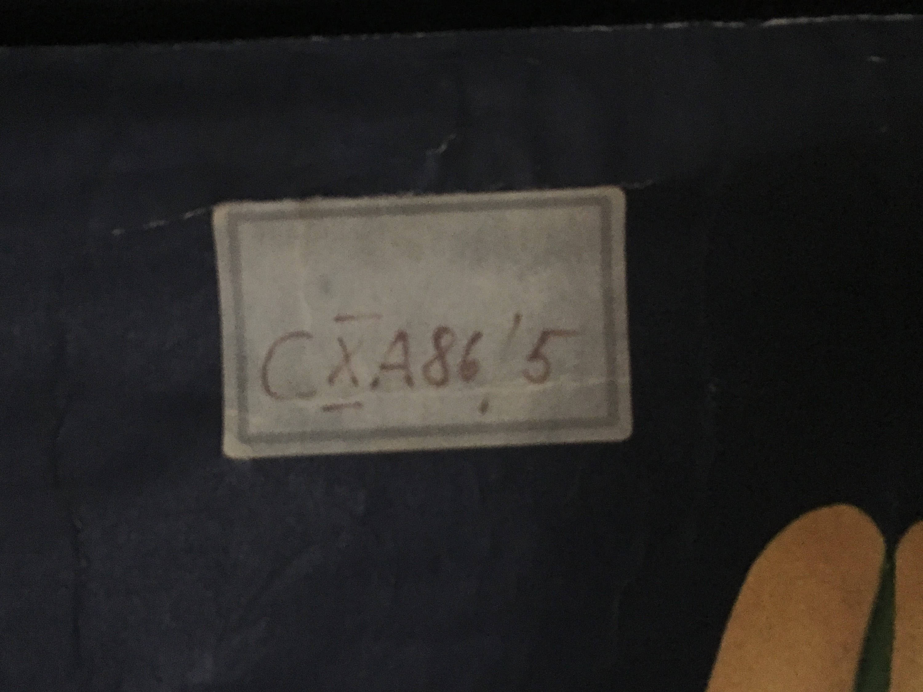 Displays educational anemone Nemorosa 1950