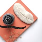 White coral, cabinet of curiosities, 70s