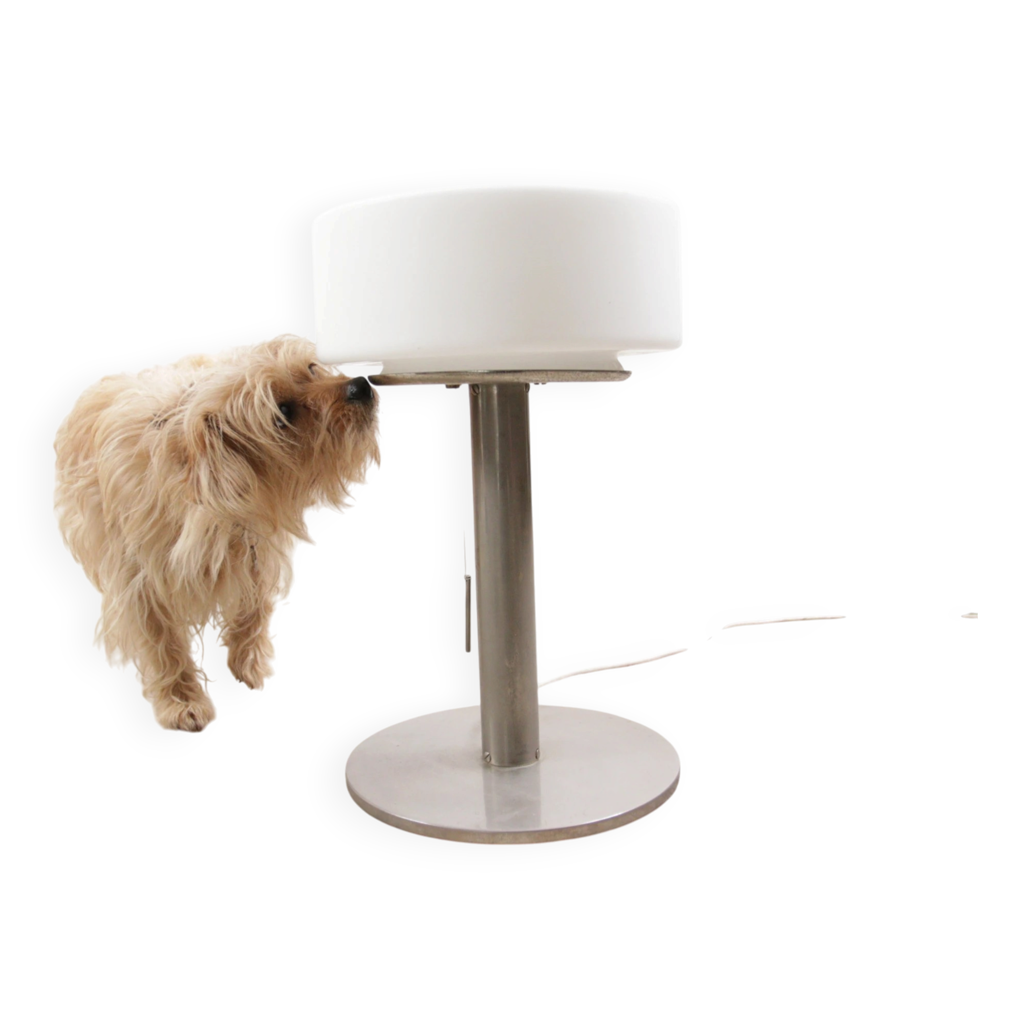 Temde table lamp with opaline glass shade and stainless steel base – 1970s
