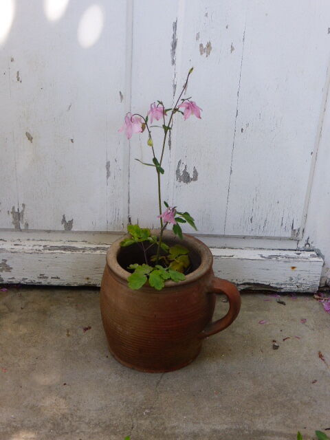 Sandstone pot with handle