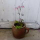 Sandstone pot with handle