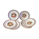 10 arcopal plates (5 flats and 5 hollows)
