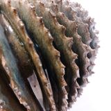 ball vase with twisted fins
