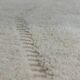 Beni Ouarain Berber rug in diamond pattern • Minimalist white elegance