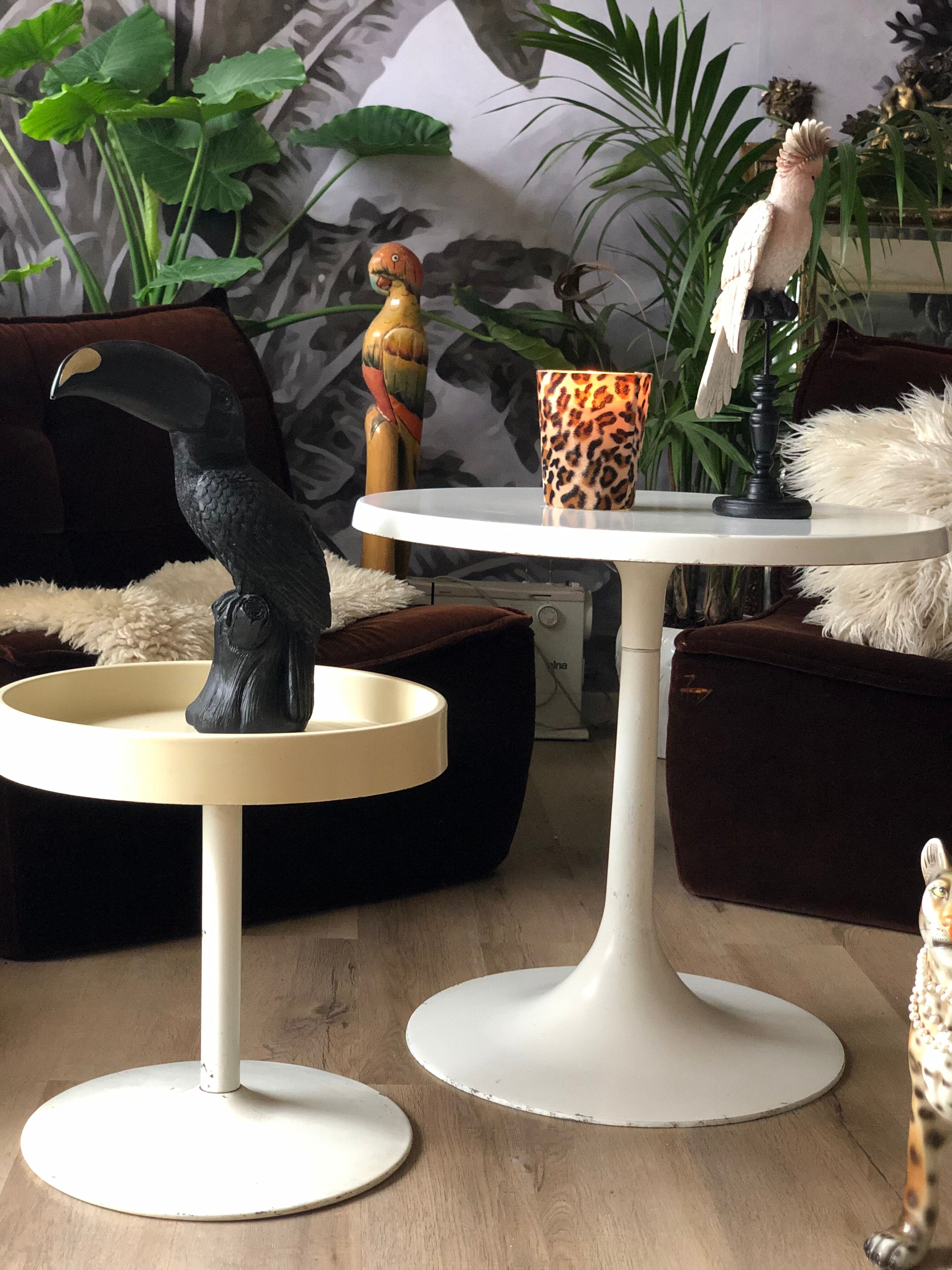 Tulip foot coffee table