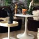 Tulip foot coffee table