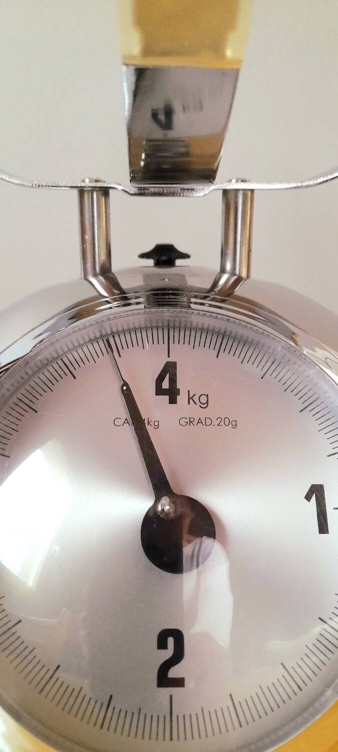 Stainless steel kitchen scale