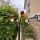 Vintage coat rack