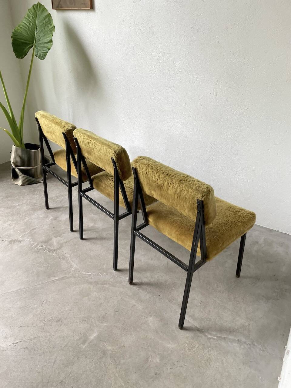 Set de trois chaises années 50