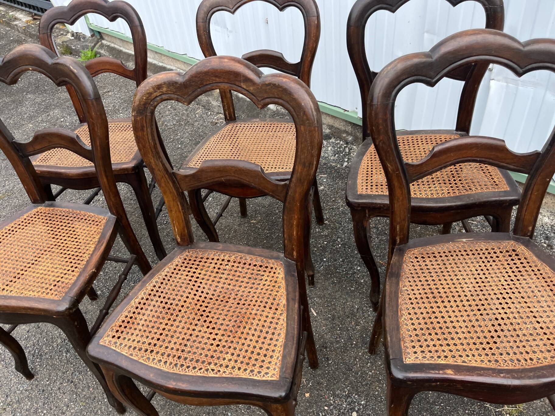 Série de 6 chaises à dossier trilobé de style Louis-Philippe