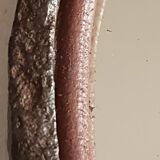 Round wrought iron mirror in the 1950s - 21cm