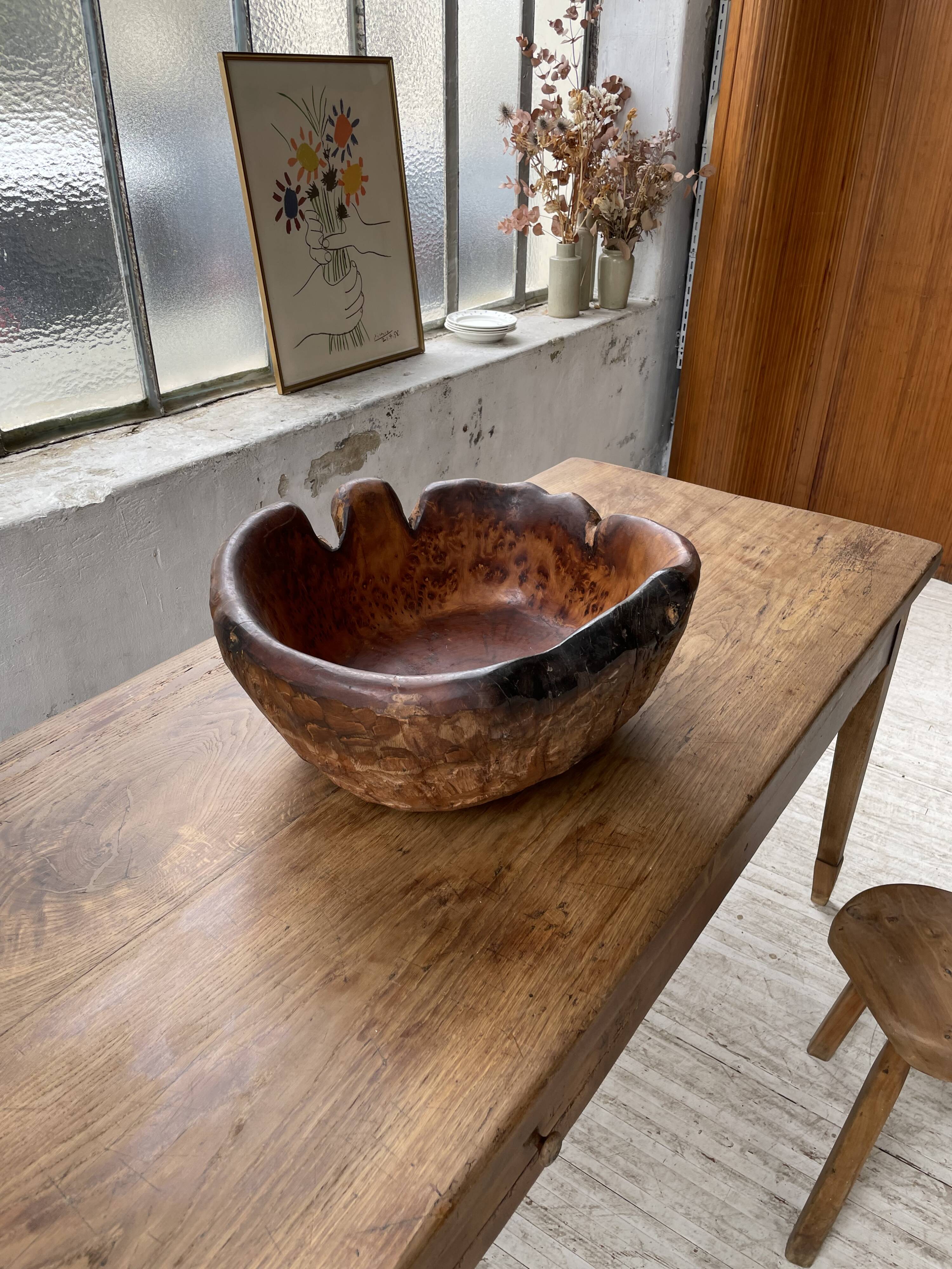 XL thuja root wooden dish