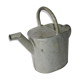 Old zinc watering can