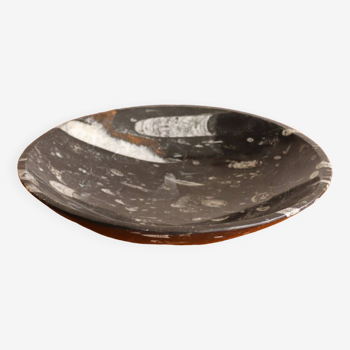 Dish / empty pocket in fossilized black marble