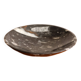 Dish / empty pocket in fossilized black marble