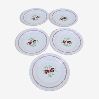 Ensemble de 5 assiettes à dessert  motifs fleurs