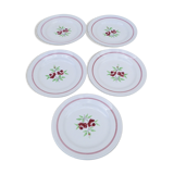 Set of 5 flower patterned dessert plates