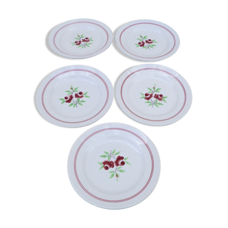 Ensemble de 5 assiettes à dessert  motifs fleurs