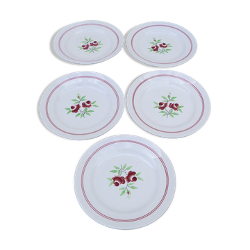 Set of 5 flower patterned dessert plates